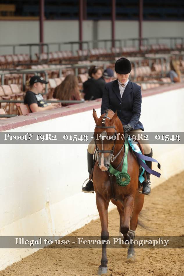 Proof 19R2_01543