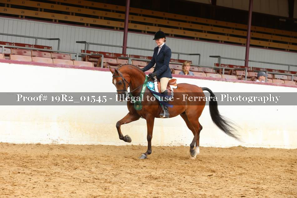 Proof 19R2_01545