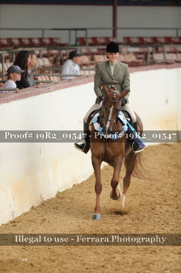 Proof 19R2_01547