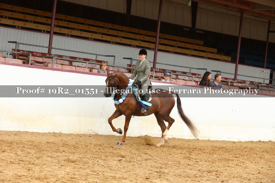Proof 19R2_01551