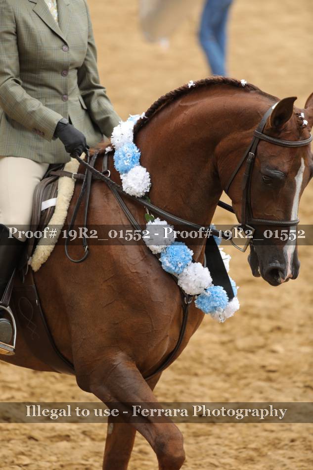 Proof 19R2_01552