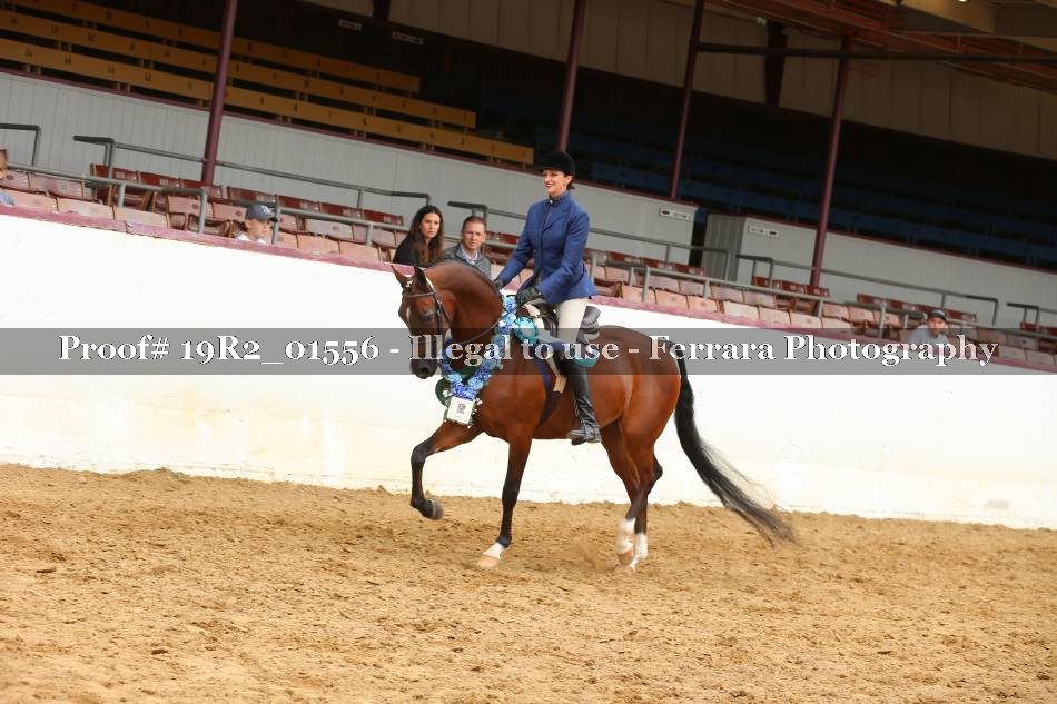 Proof 19R2_01556