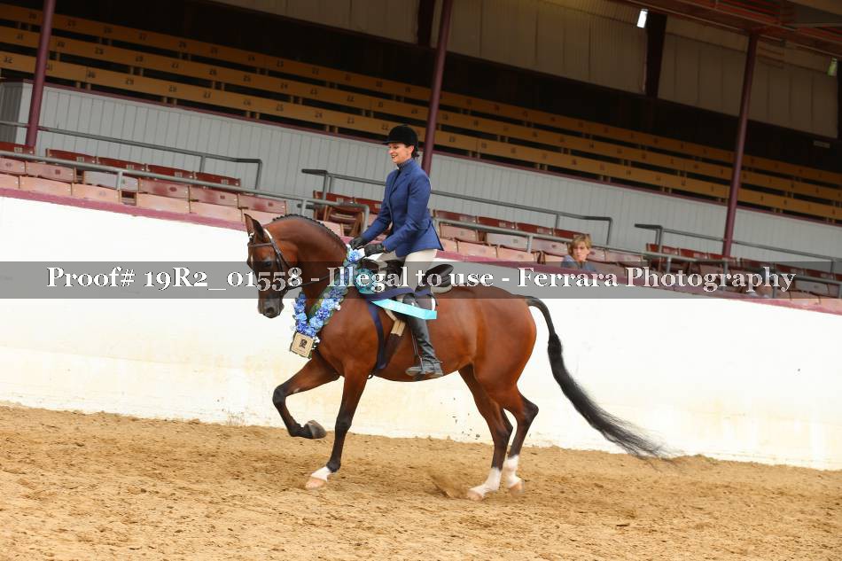 Proof 19R2_01558
