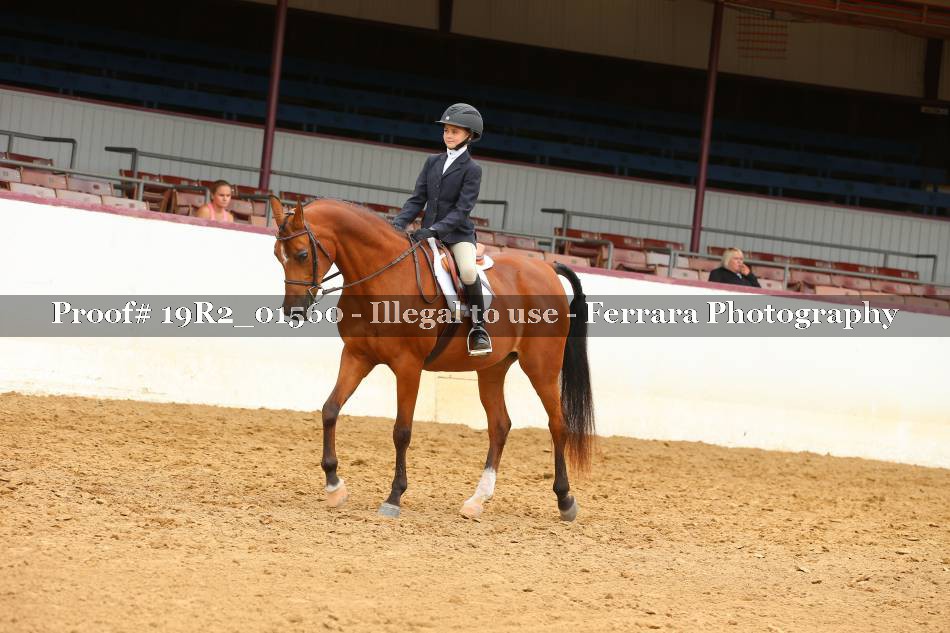 Proof 19R2_01560