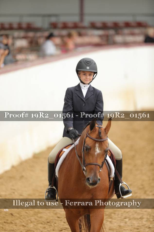 Proof 19R2_01561