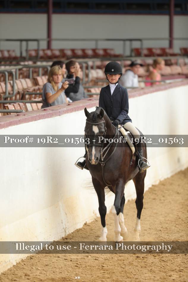 Proof 19R2_01563