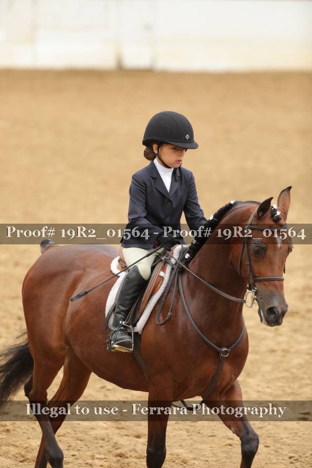 Proof 19R2_01564