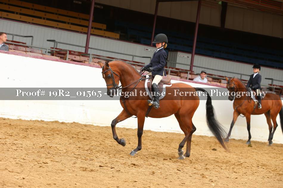 Proof 19R2_01565