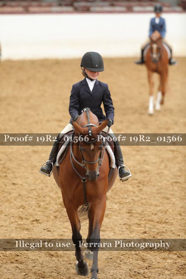 Proof 19R2_01566