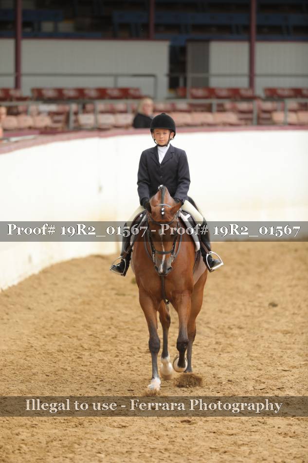 Proof 19R2_01567