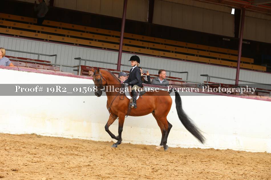 Proof 19R2_01568