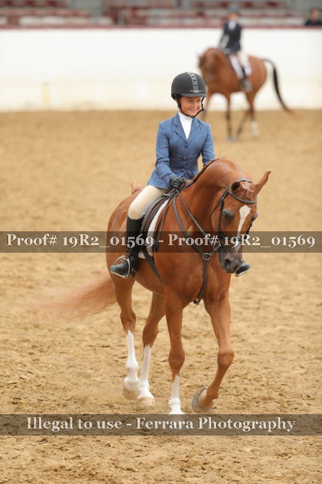 Proof 19R2_01569