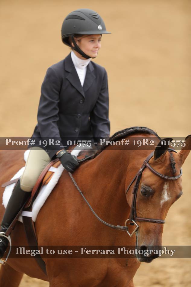 Proof 19R2_01575
