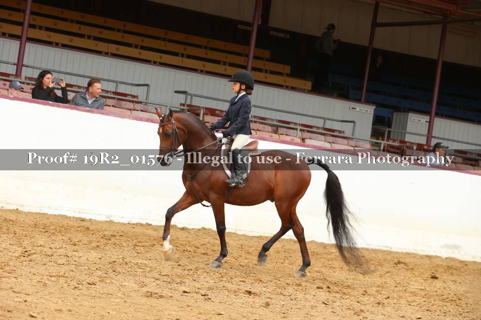 Proof 19R2_01576