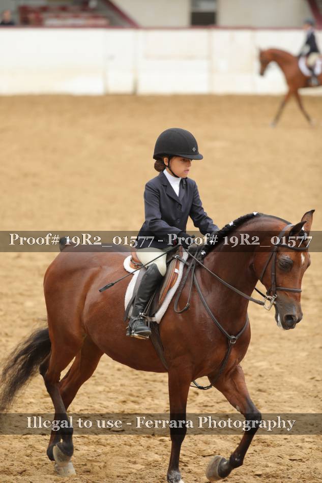 Proof 19R2_01577