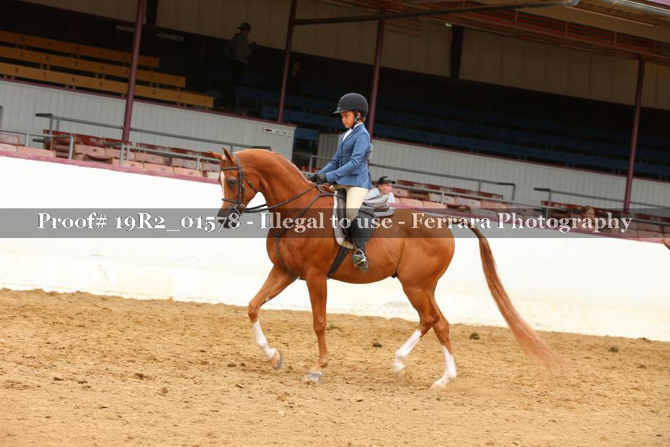 Proof 19R2_01578