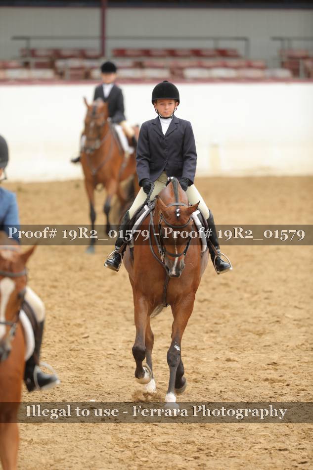 Proof 19R2_01579
