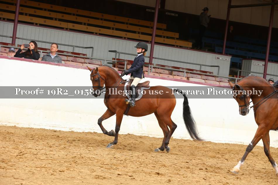 Proof 19R2_01580