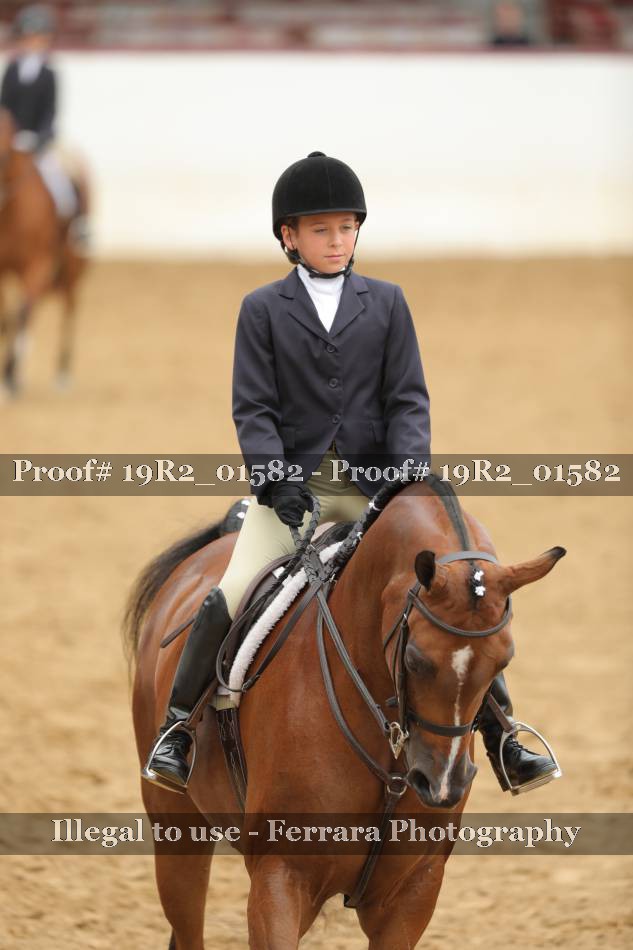 Proof 19R2_01582