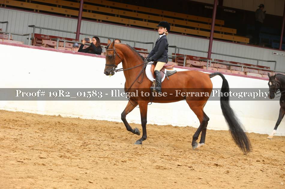Proof 19R2_01583