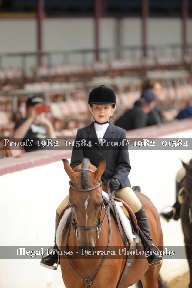 Proof 19R2_01584