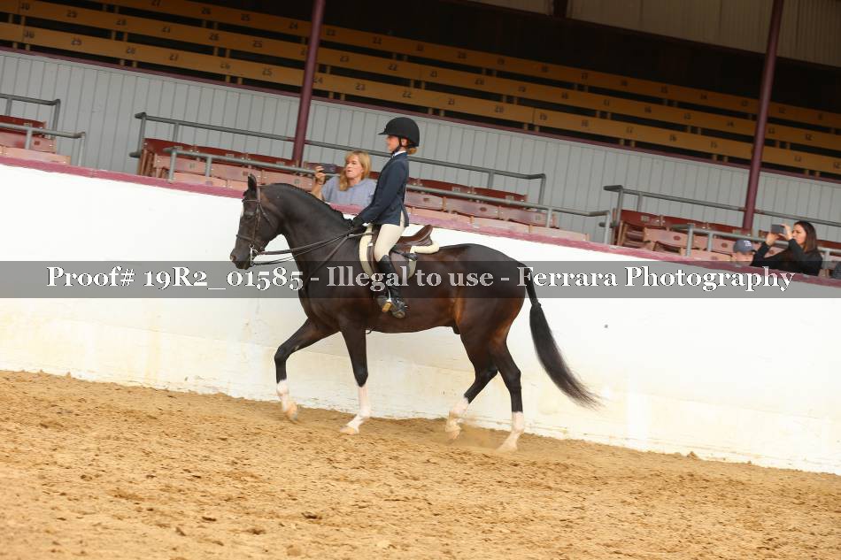 Proof 19R2_01585