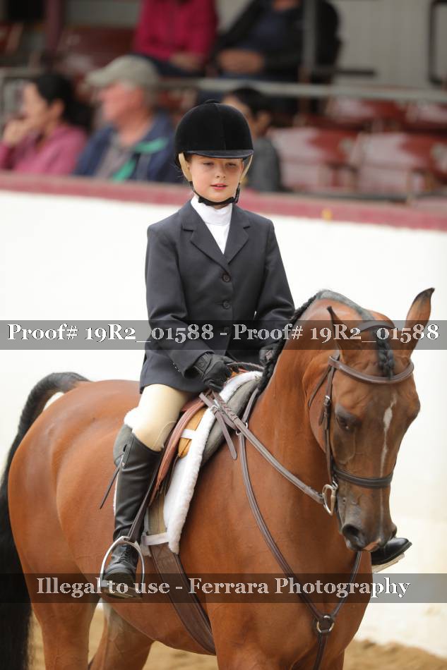 Proof 19R2_01588