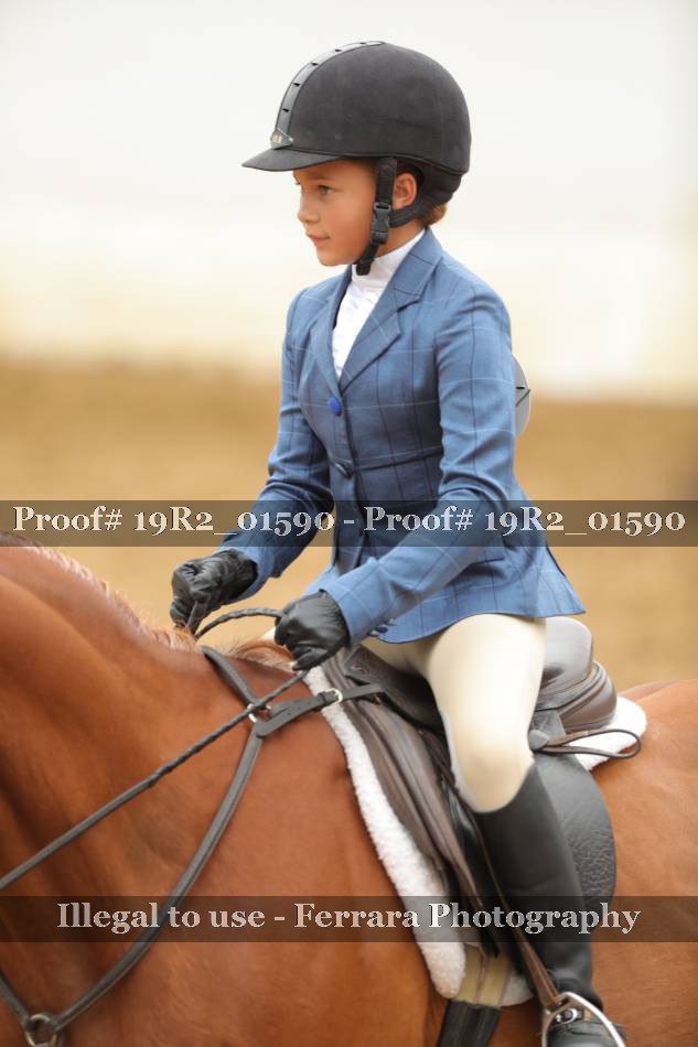 Proof 19R2_01590