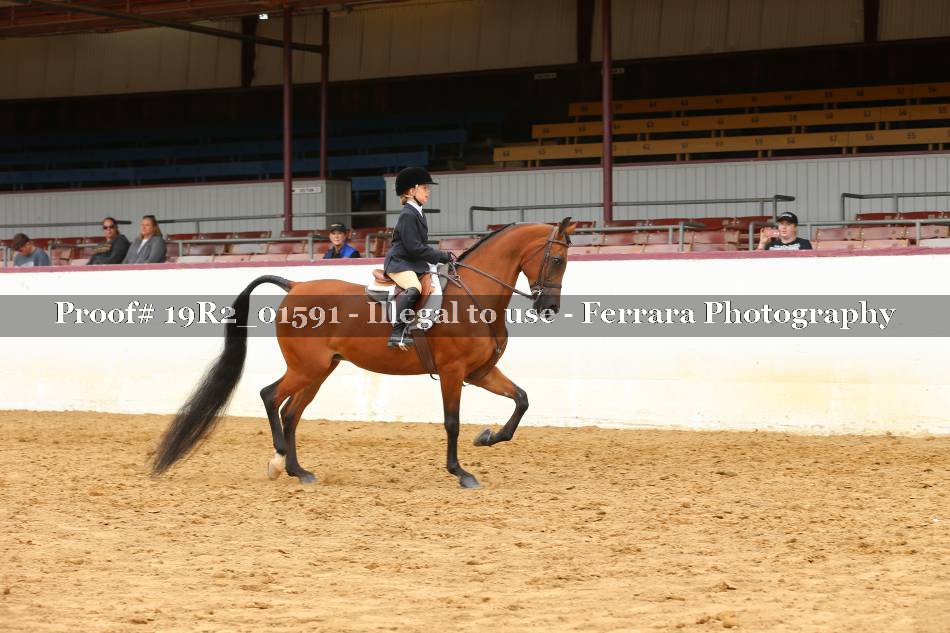 Proof 19R2_01591