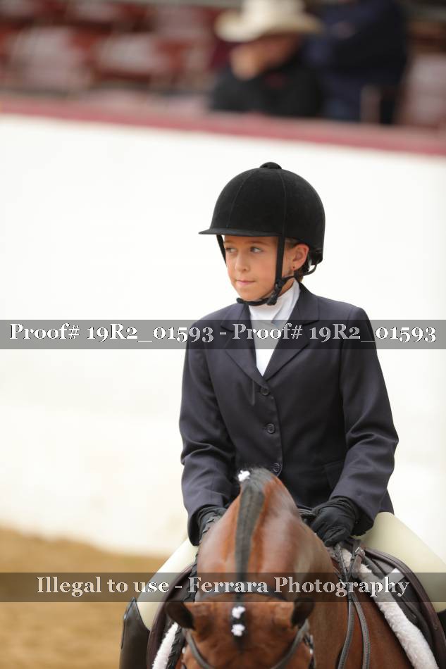 Proof 19R2_01593