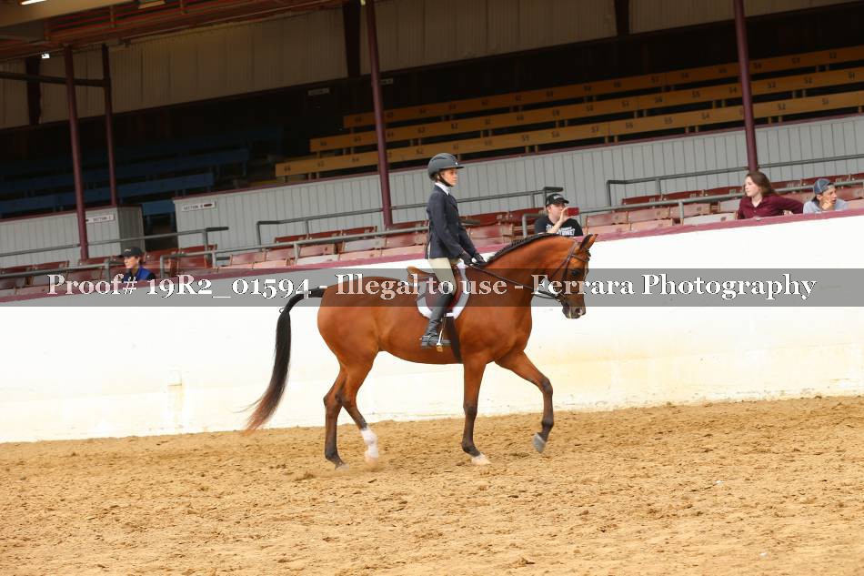 Proof 19R2_01594