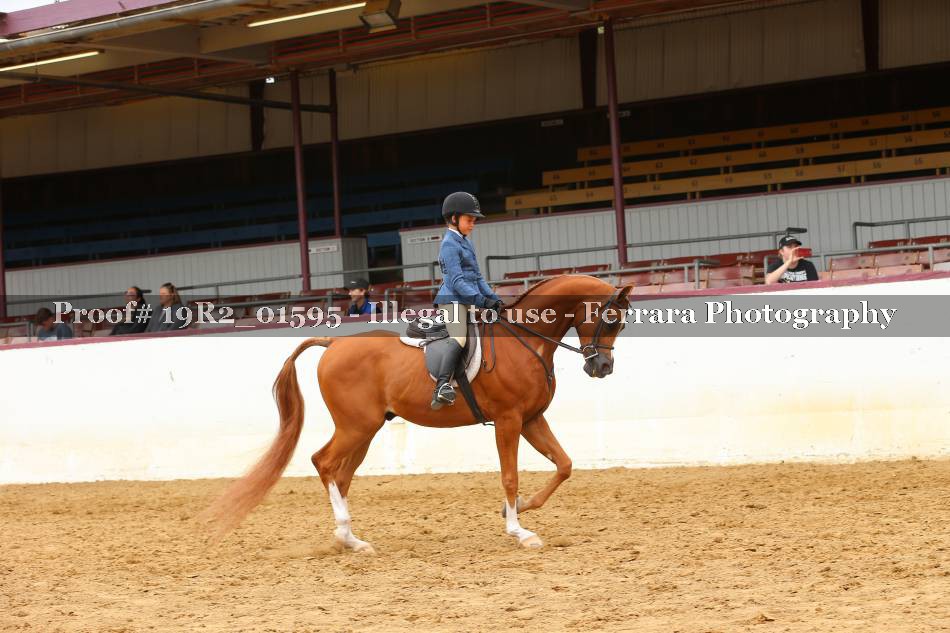 Proof 19R2_01595
