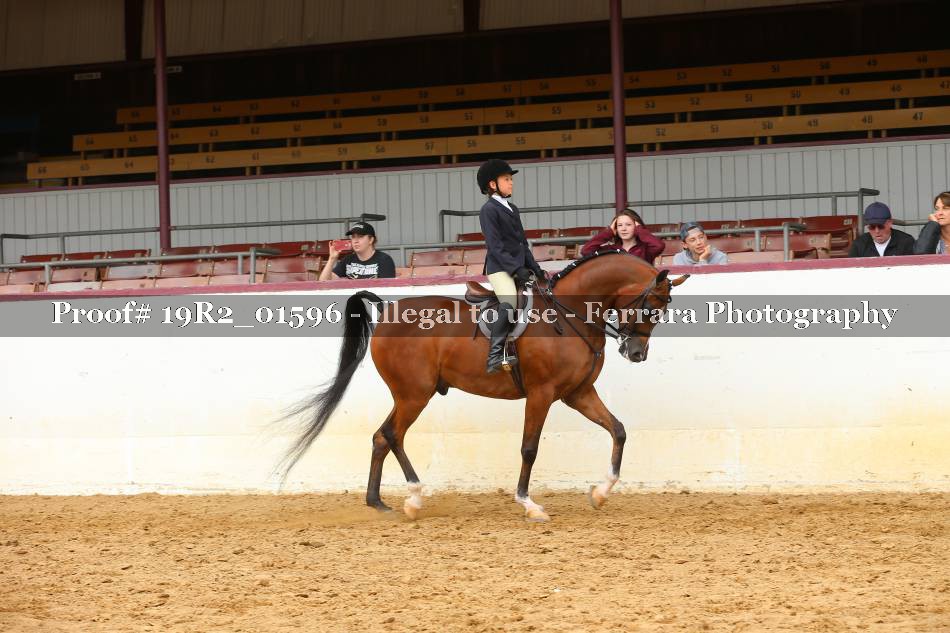 Proof 19R2_01596
