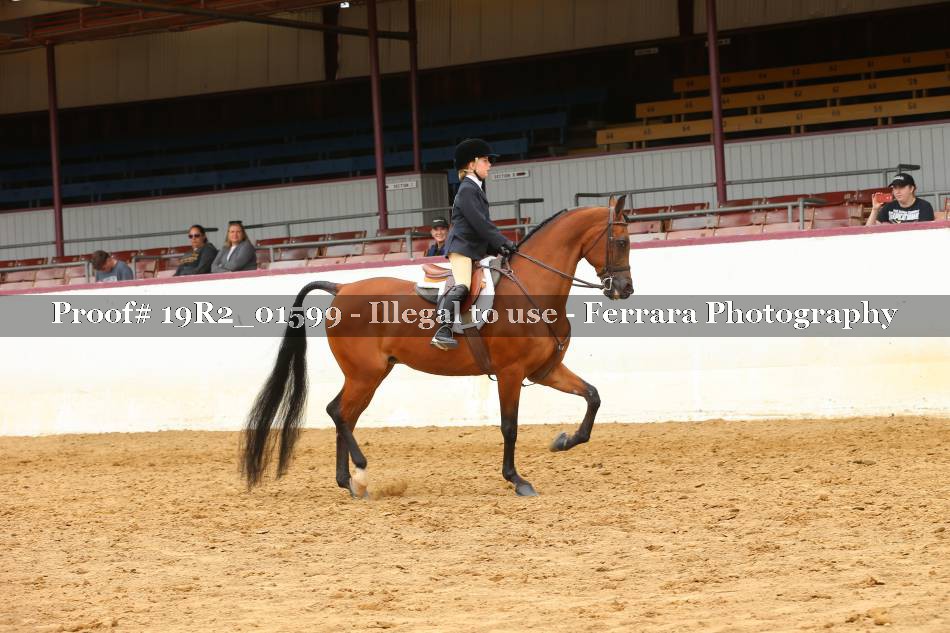 Proof 19R2_01599