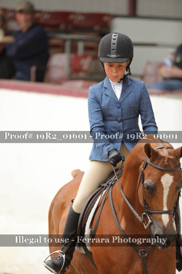 Proof 19R2_01601