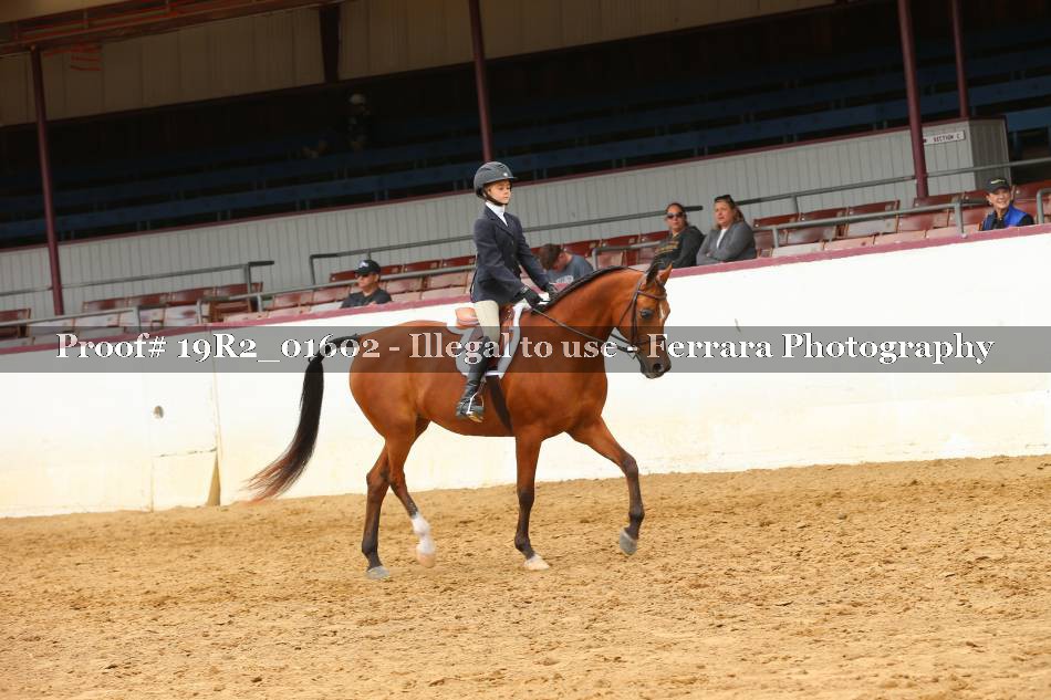 Proof 19R2_01602