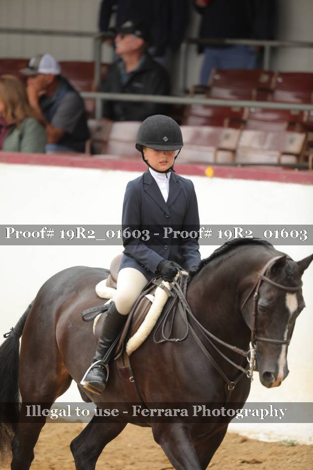 Proof 19R2_01603