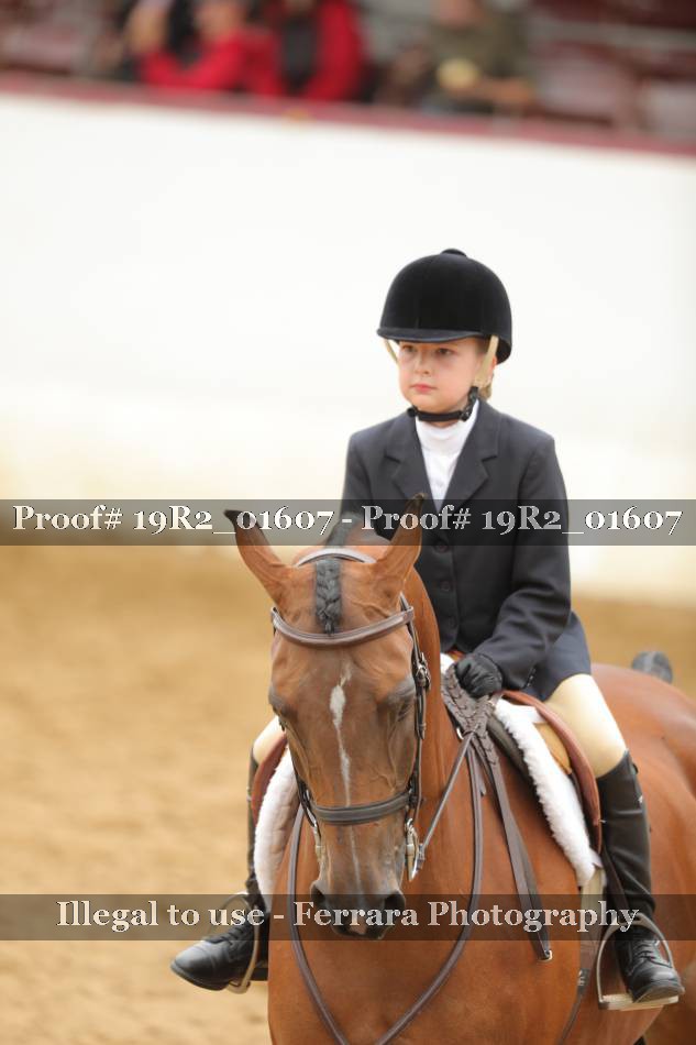 Proof 19R2_01607