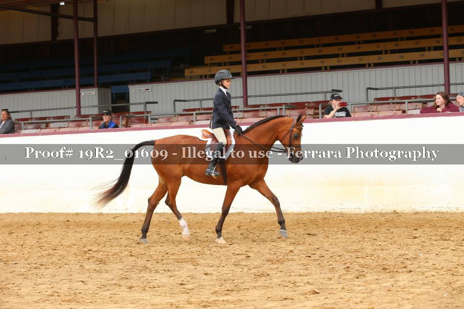 Proof 19R2_01609