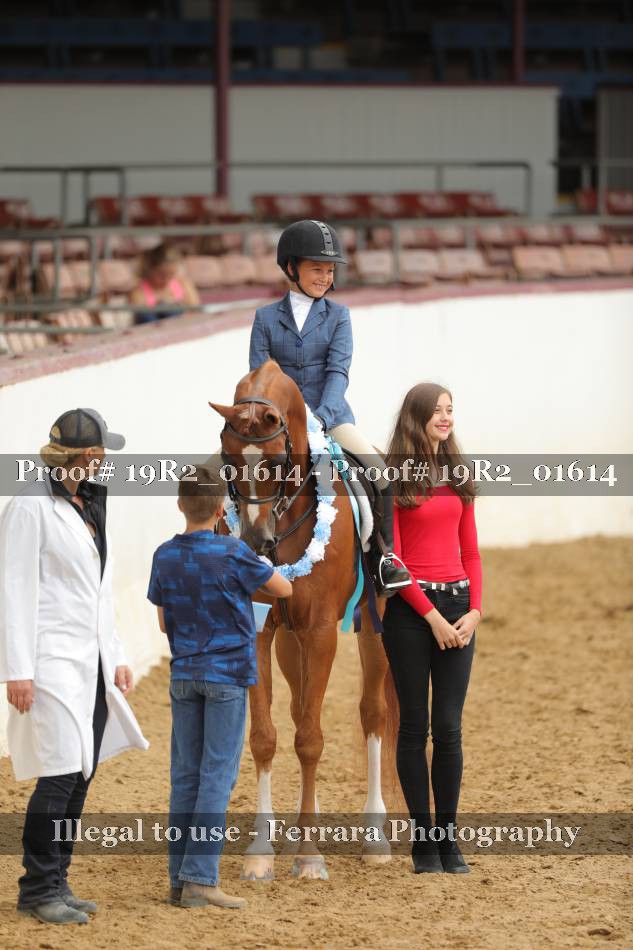 Proof 19R2_01614