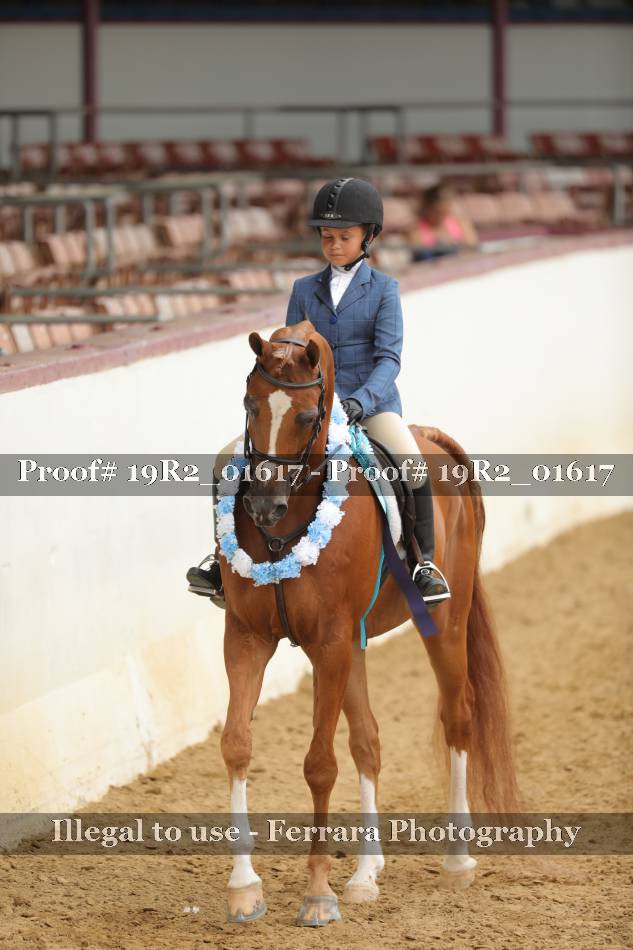 Proof 19R2_01617