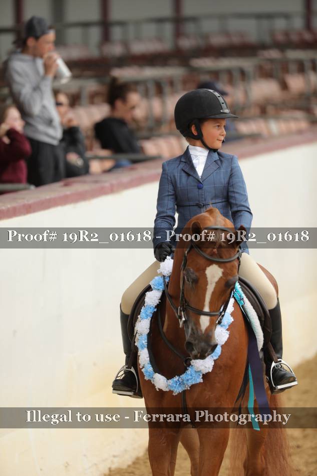 Proof 19R2_01618