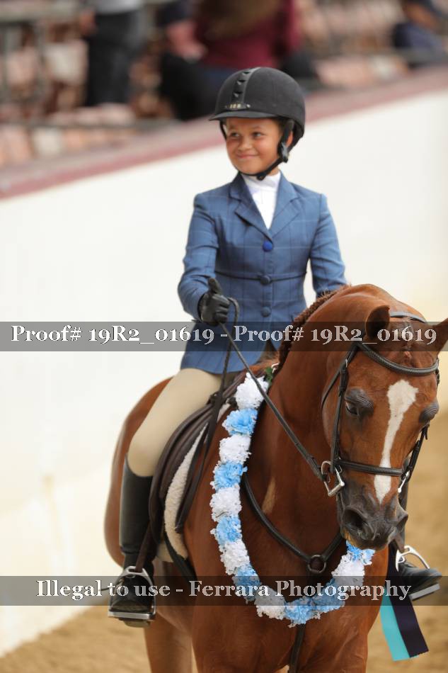 Proof 19R2_01619