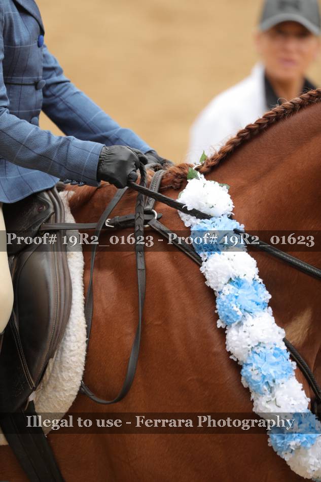 Proof 19R2_01623
