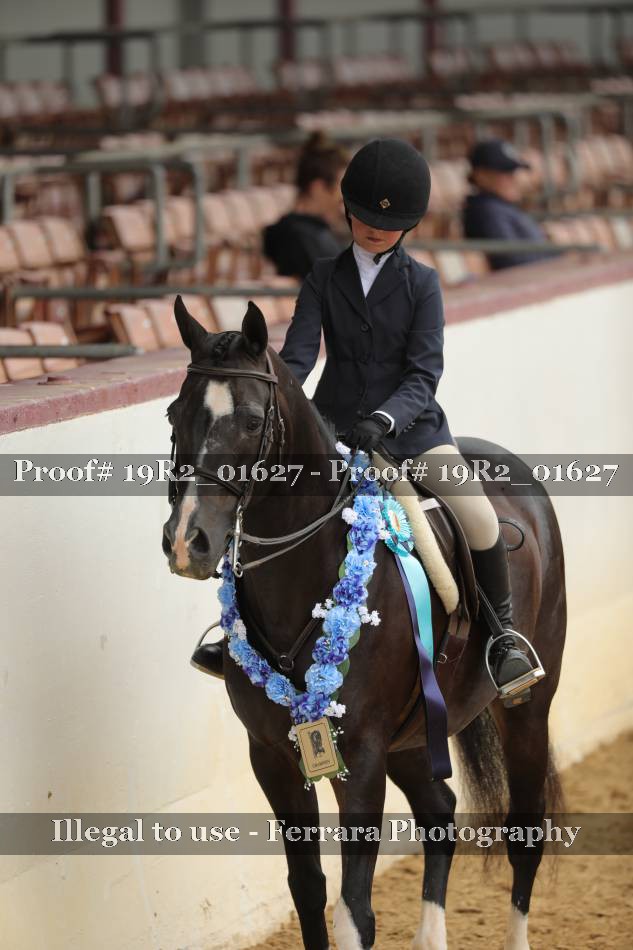 Proof 19R2_01627