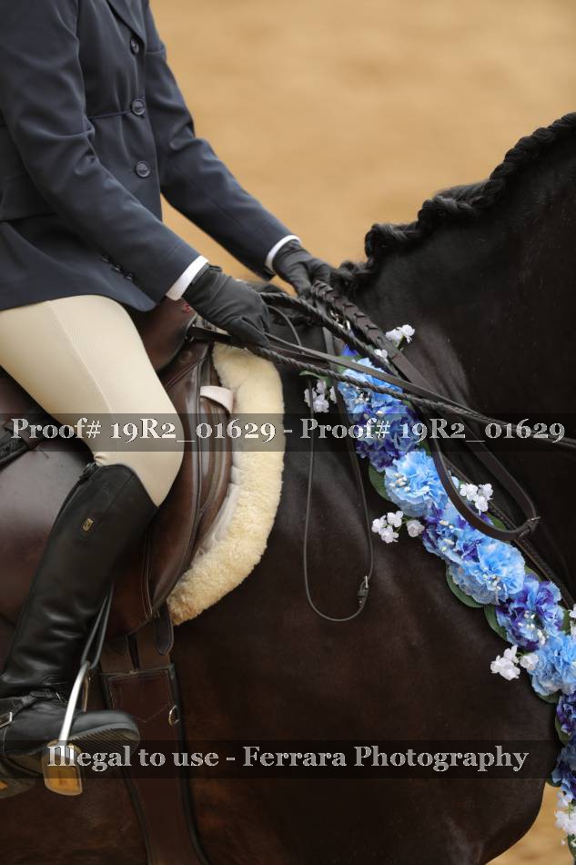 Proof 19R2_01629