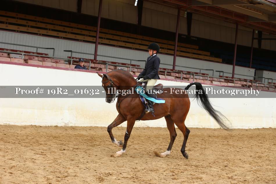 Proof 19R2_01632