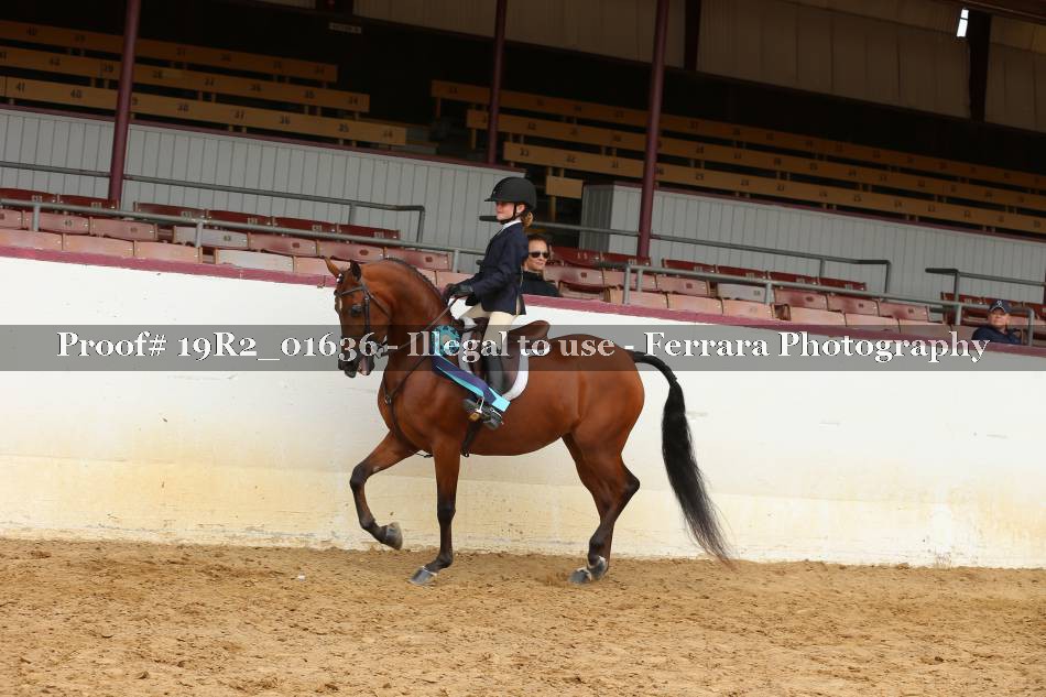 Proof 19R2_01636