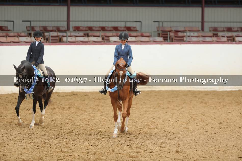 Proof 19R2_01637
