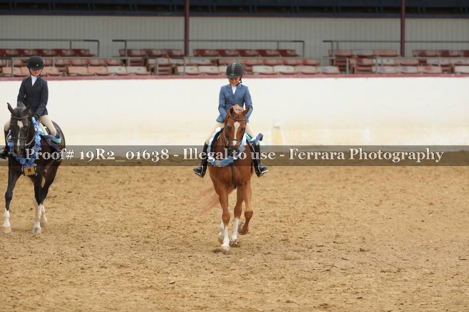 Proof 19R2_01638